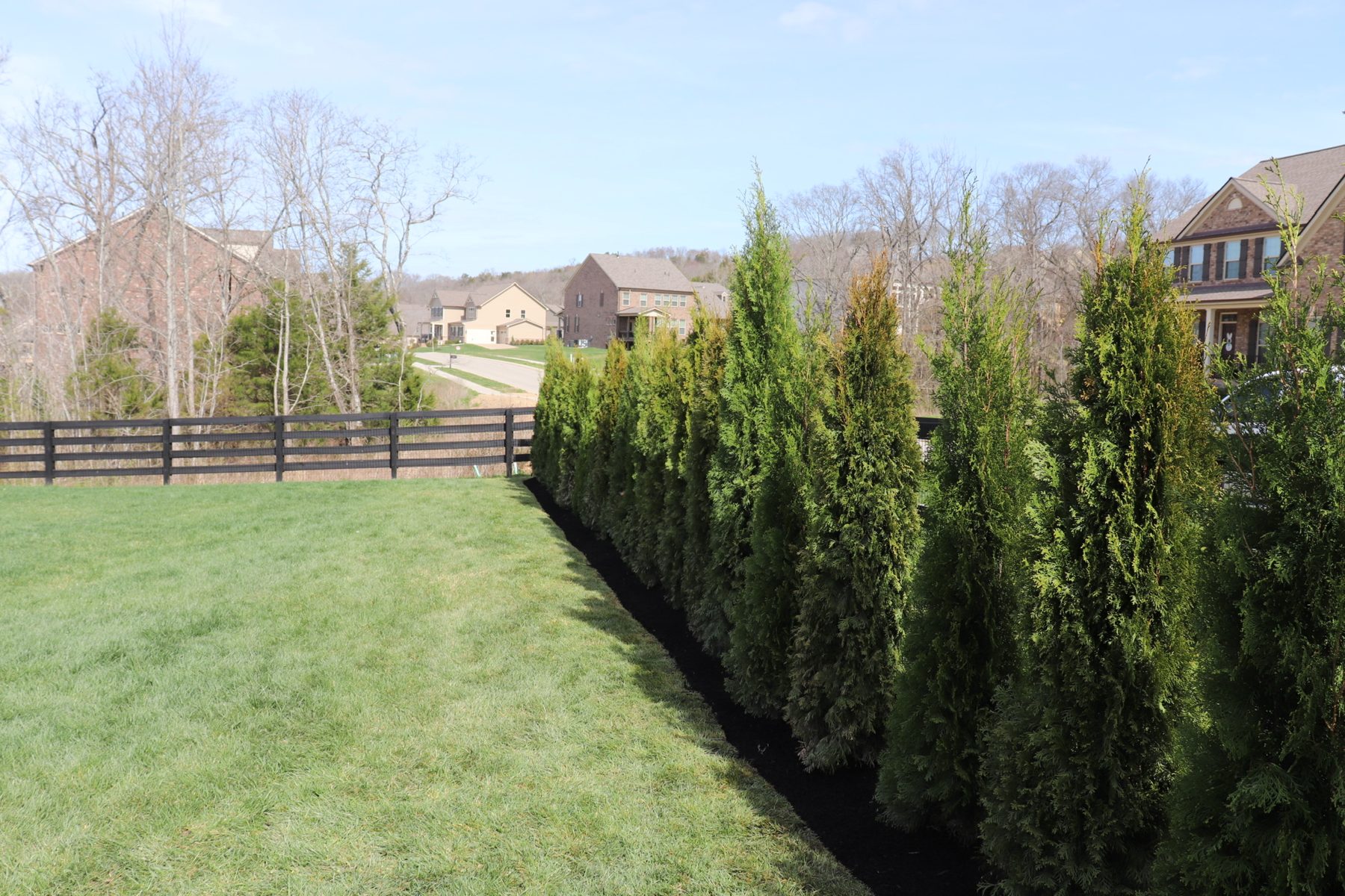 Rios Landscaping crew finished backyard project